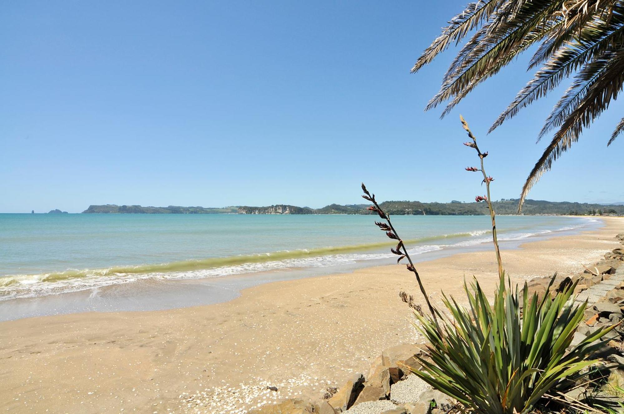 Whitianga Campground Eksteriør billede