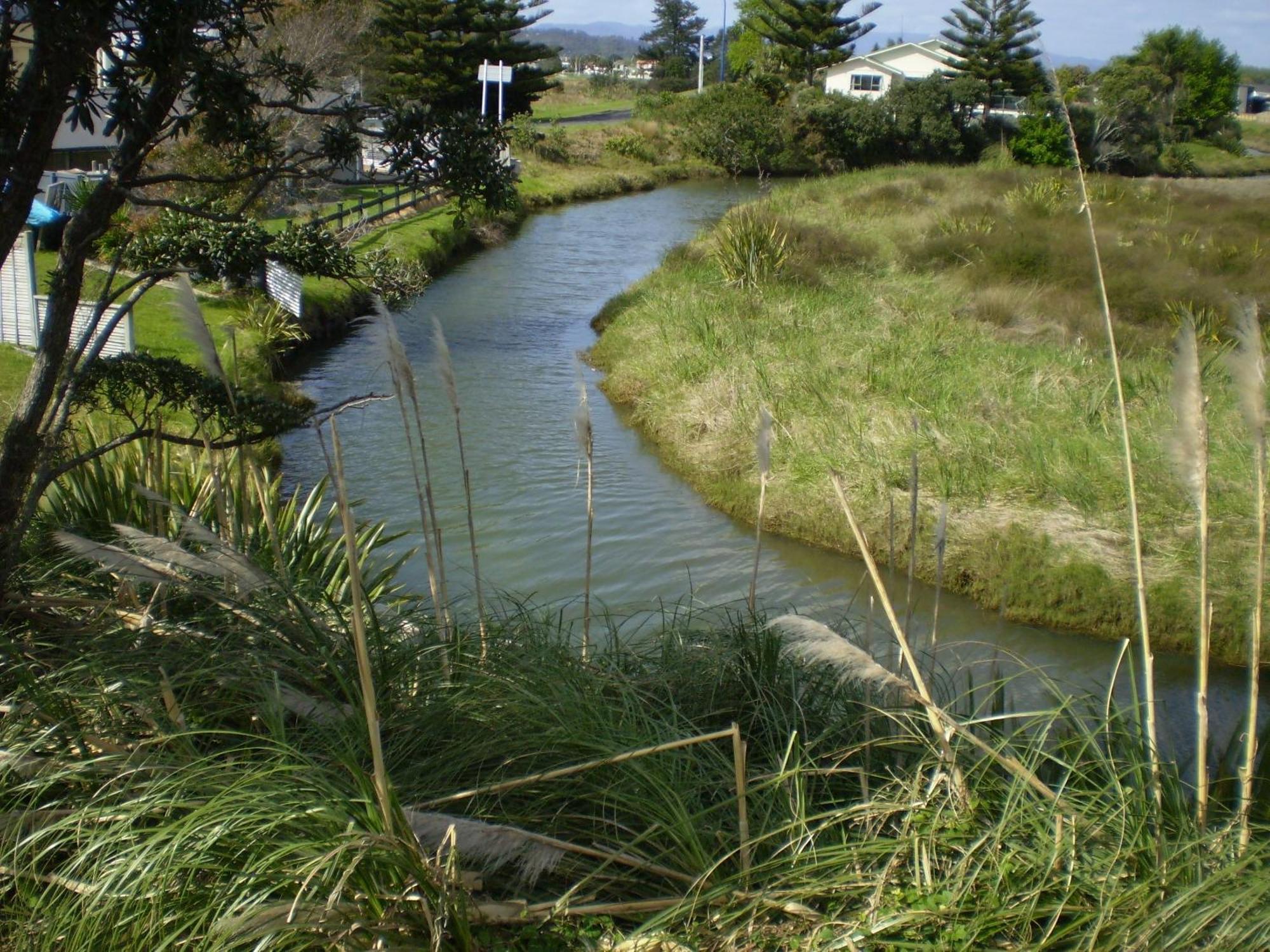 Whitianga Campground Eksteriør billede