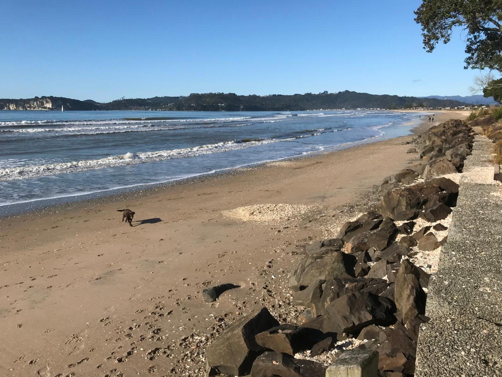 Whitianga Campground Eksteriør billede